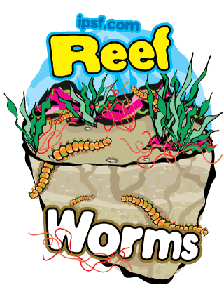 reefworms